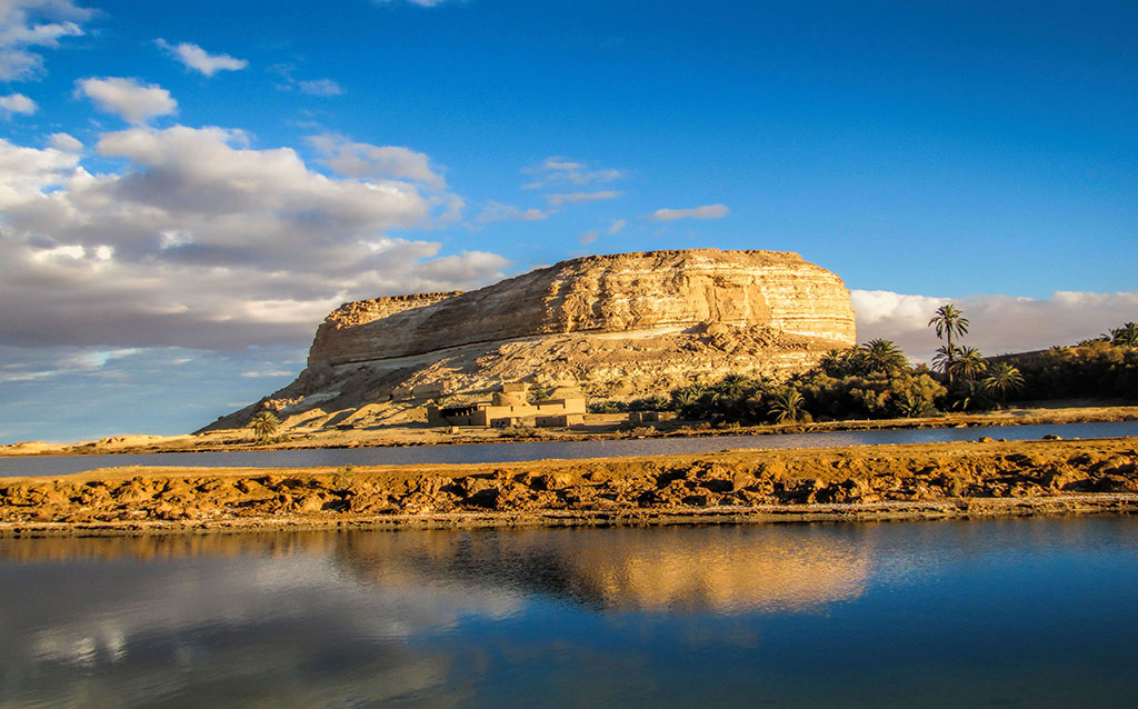 Egyptian oasis