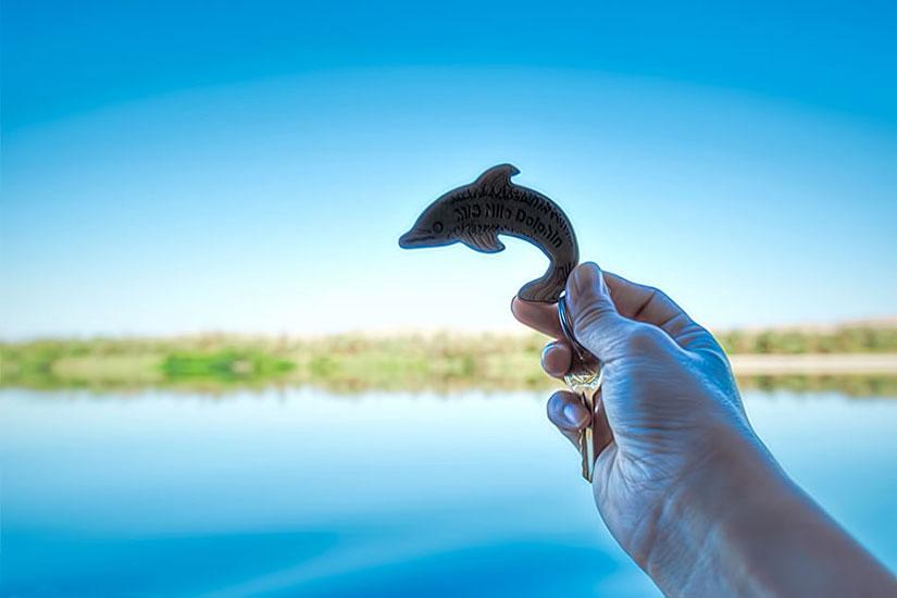 MS Nile Dolphin Nile Cruise