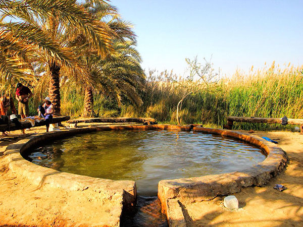 Egypt Cairo - Oasis & White Desert Tour