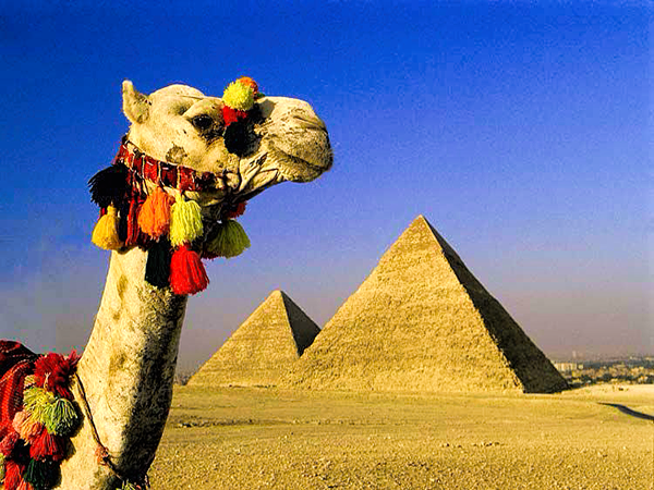Egypt Cairo, Oasis - Luxor & Aswan Nile Cruise