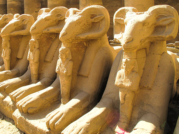 Enjoy The Nile - Luxor Aswan Nile Cruise