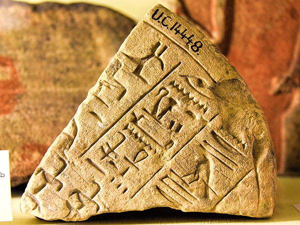 Overnight Trip to El Minya from Cairo including Sightseeing Tours