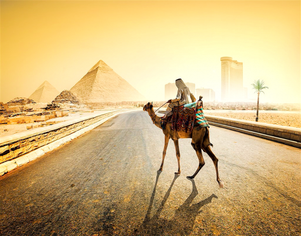 Day Tour to Great Pyramids of Giza, Great Sphinx, Saqqara and Memphis