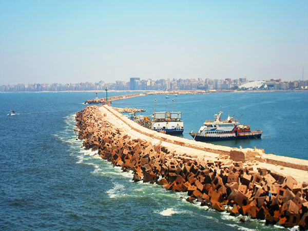 Day Tour to Alexandria from Alexandria Port including excursions